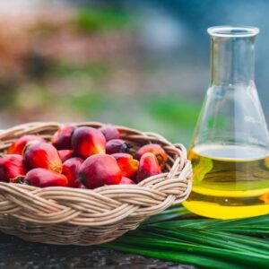 Refined Bleached Deodorized (rbd) Palm Kernel Oil