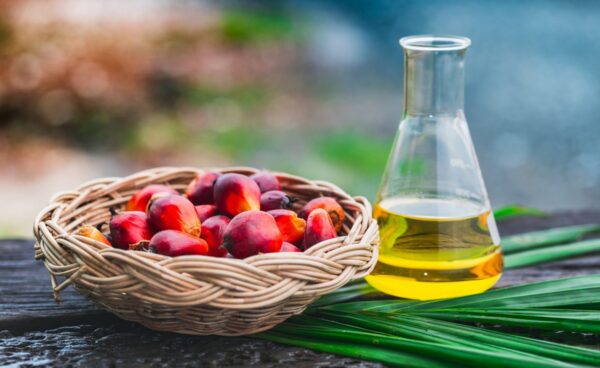 Refined Bleached Deodorized (rbd) Palm Kernel Oil