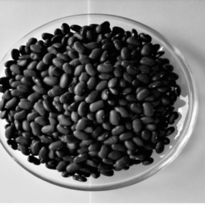 Black Kidney Beans