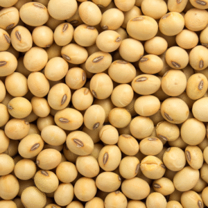 Pulses