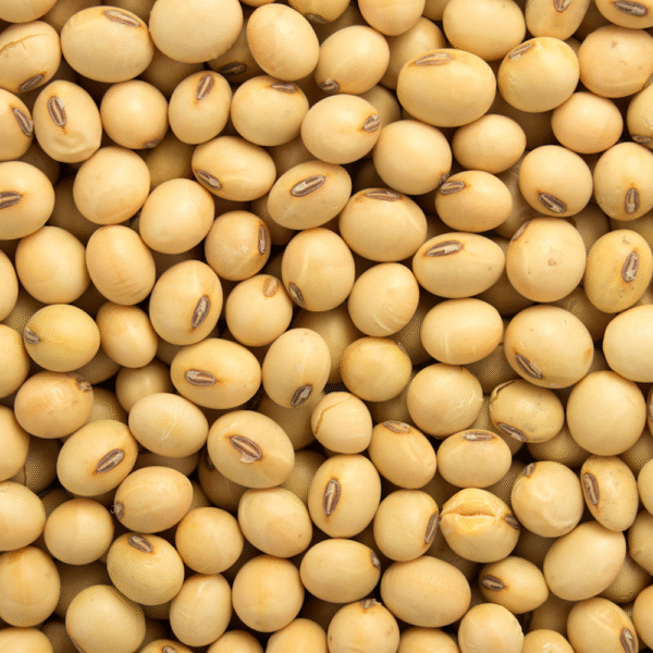 Soya Beans/soybeans - Image 2