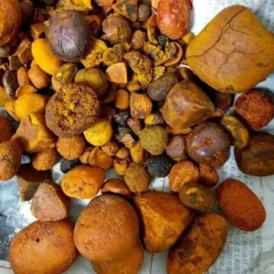 Cow/Ox Gallstones