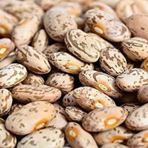 Pinto Beans